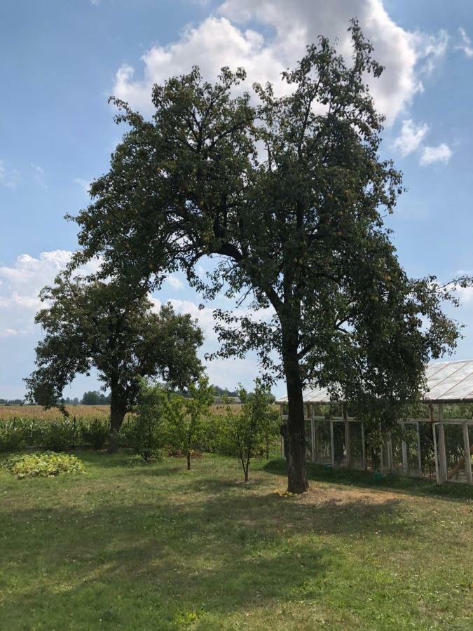 Zagroda u Leny - Dom na wyłączność Czyze Zewnętrze zdjęcie